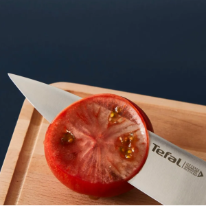 TEFAL 2100132891 5 Parçalı Alman Paslanmaz Çelik Bıçak Seti